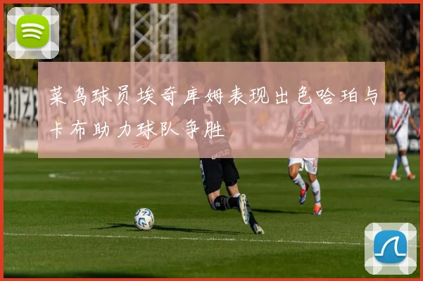 菜鸟球员埃奇库姆表现出色哈珀与卡布助力球队争胜